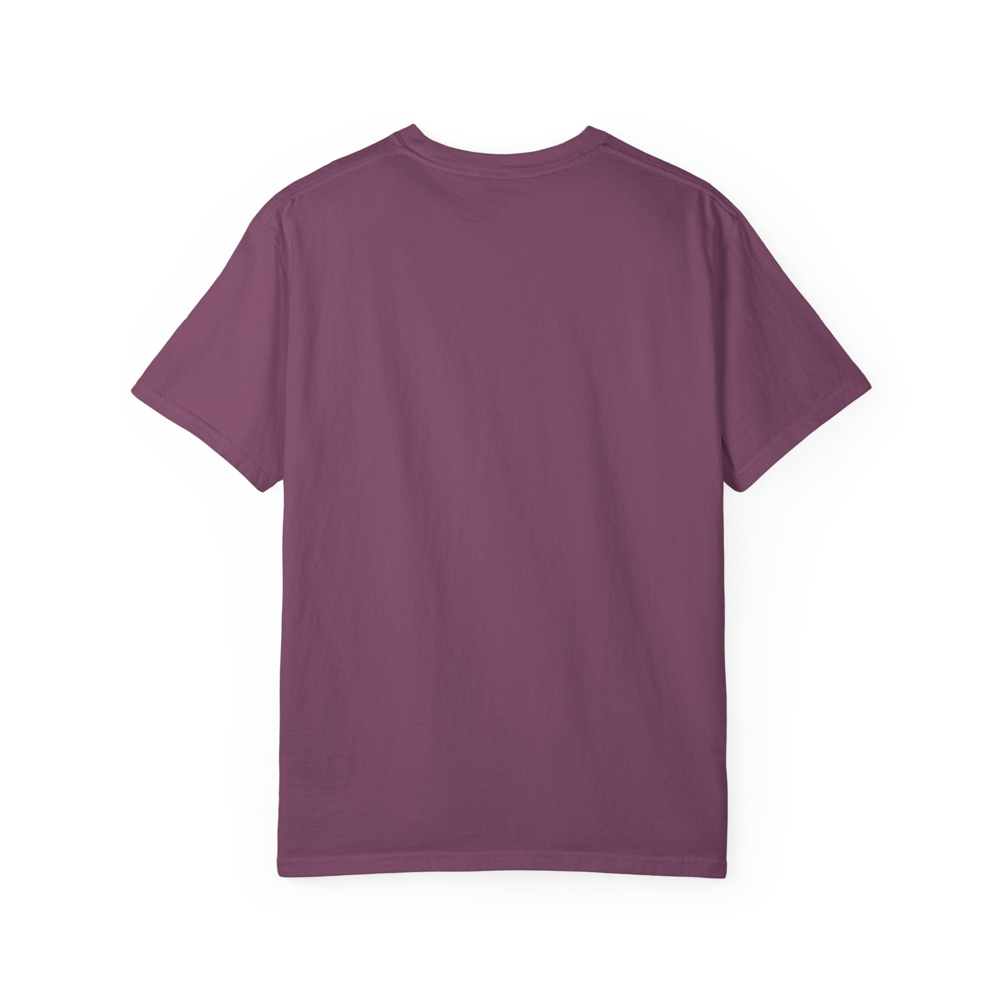 Pharaohs Pride USA Garment-Dyed Cotton T-Shirt product image 58