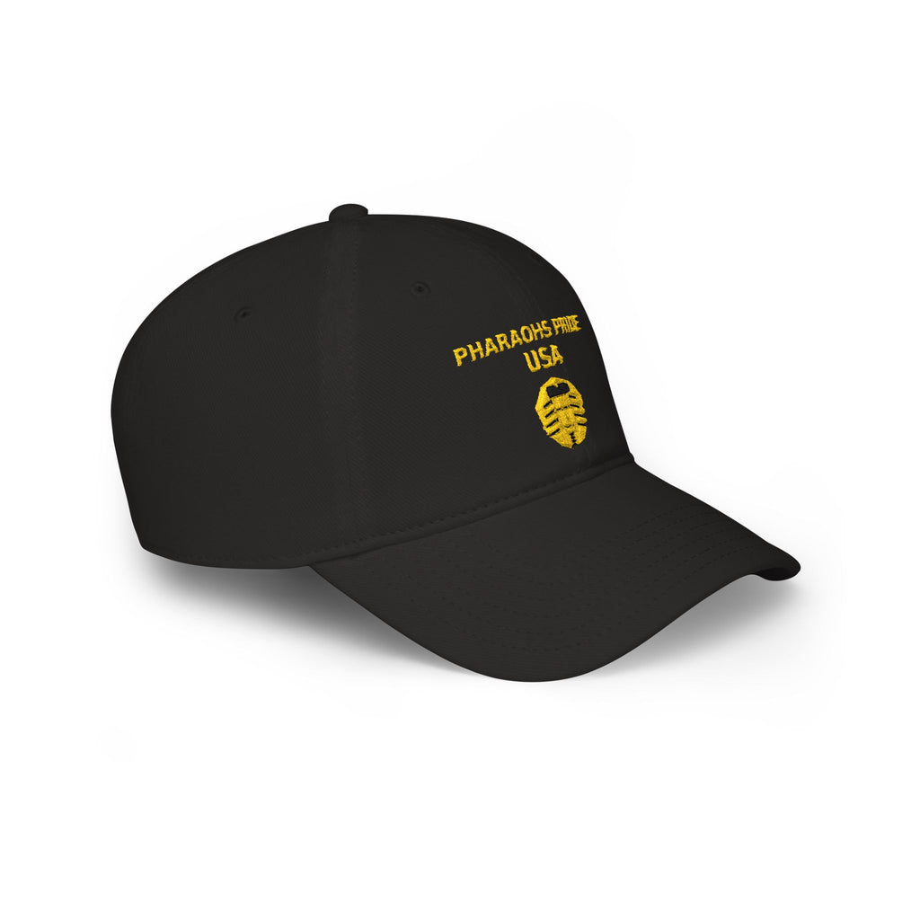 Pharaohs Pride USA Embroidered Low Profile Baseball Cap product image 17