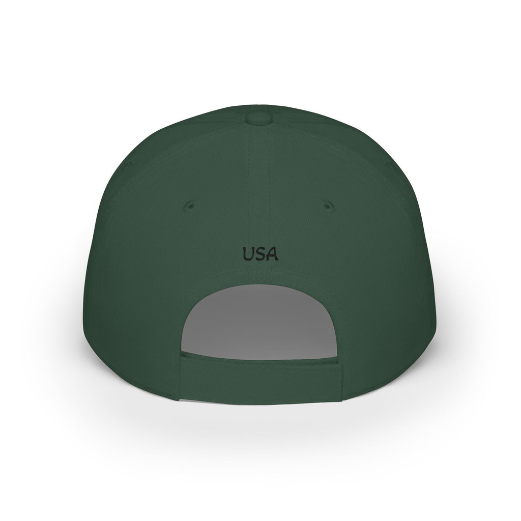 Pharaohs Pride USA Embroidered Low Profile Baseball Cap product image 21