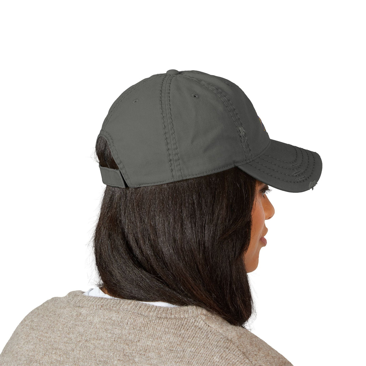 Distressed dad hat with Egyptian falcon and sun disk embroidery