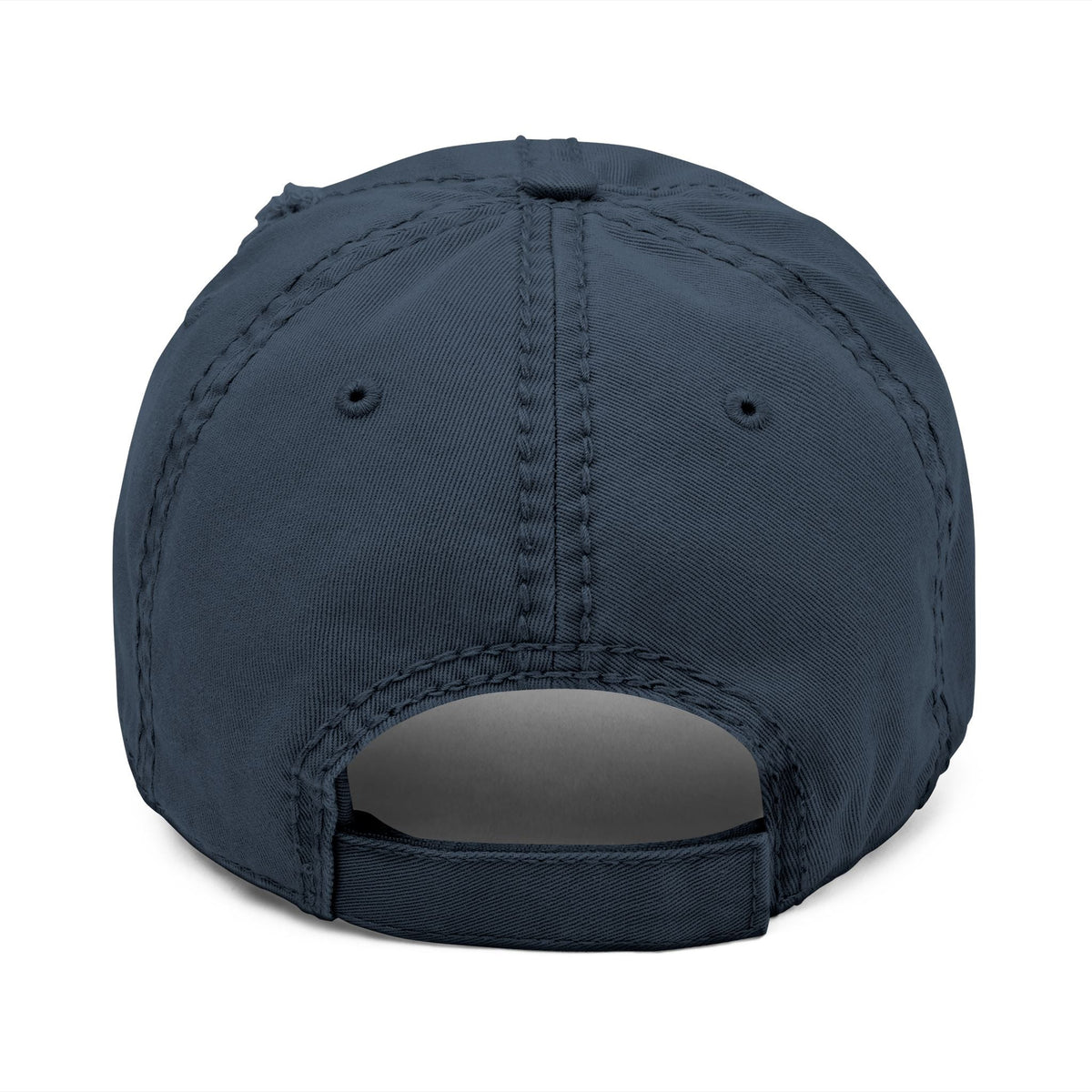 Distressed dad hat with Egyptian falcon and sun disk embroidery