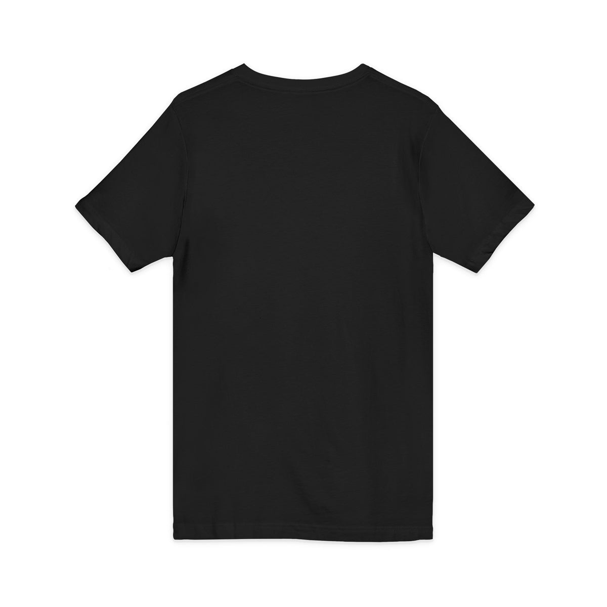 Pharaohs Pride USA Heritage Crest V-Neck Tee product image 24