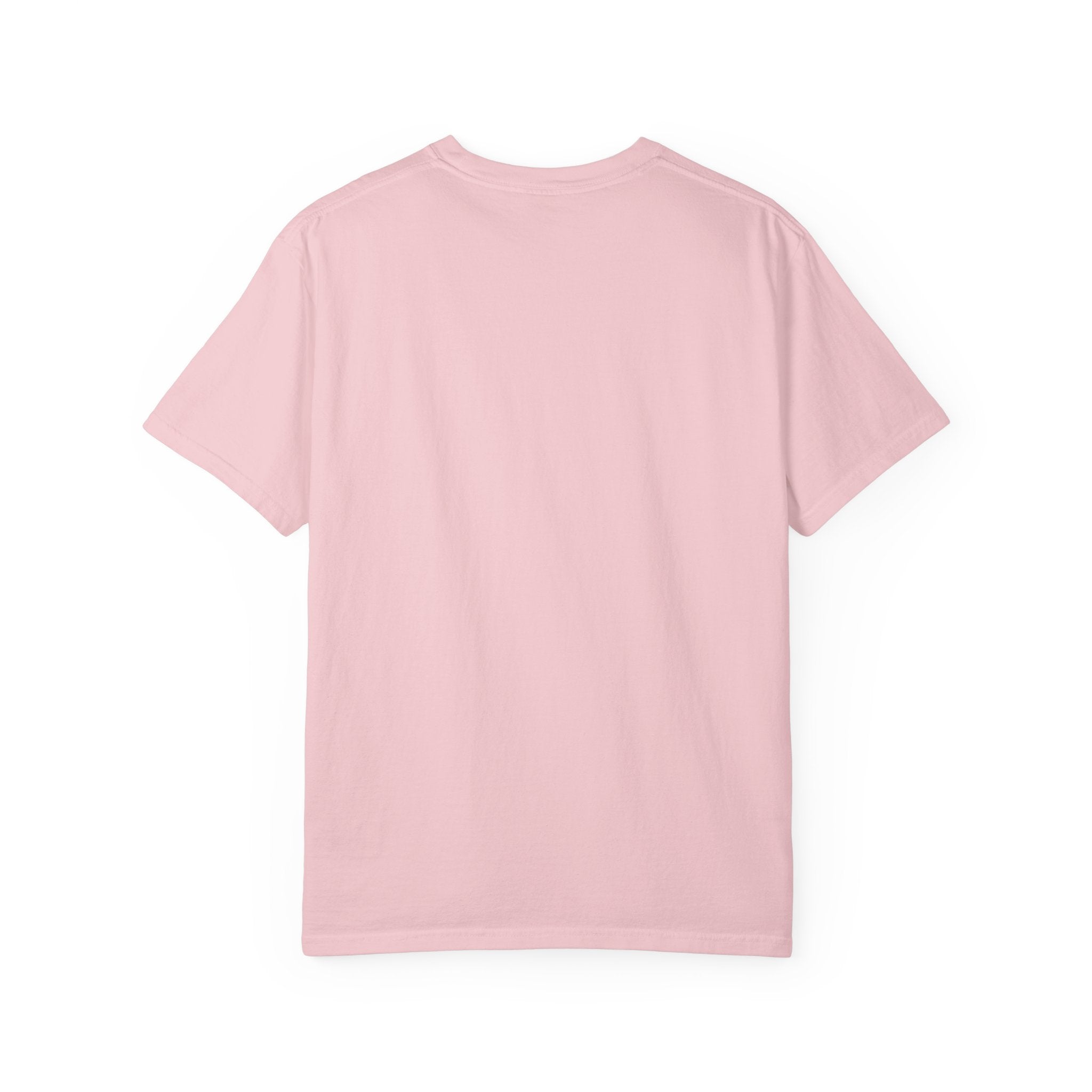 Pharaohs Pride USA Garment-Dyed Cotton T-Shirt product image 55