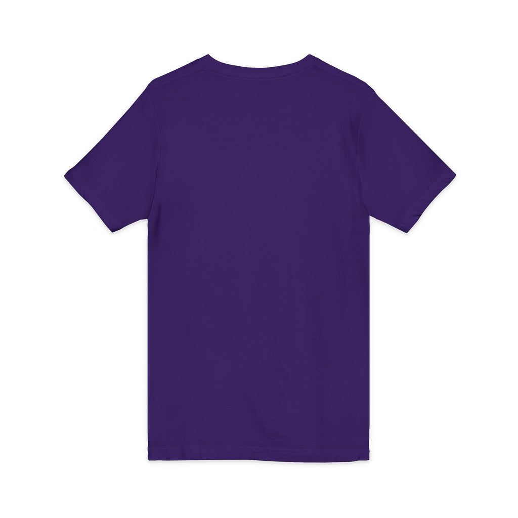 Pharaohs Pride USA Heritage Crest V-Neck Tee product image 45