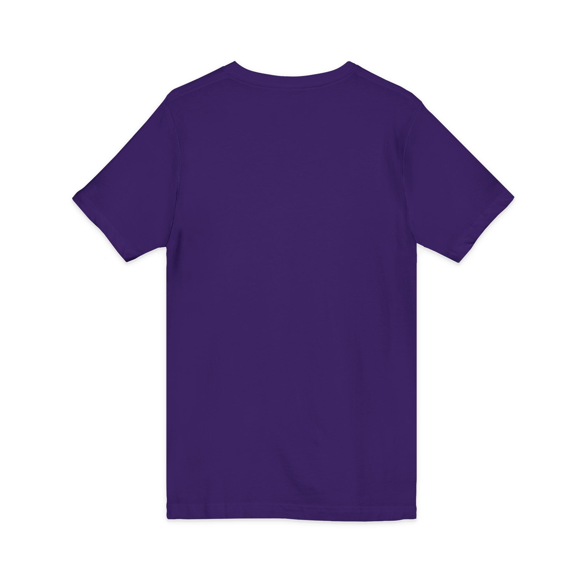 Pharaohs Pride USA Heritage Crest V-Neck Tee product image 45