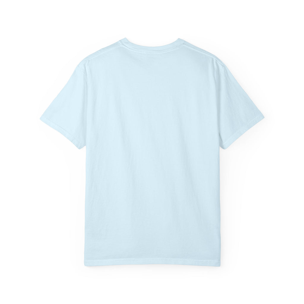 Pharaohs Pride USA Garment-Dyed Cotton T-Shirt product image 37