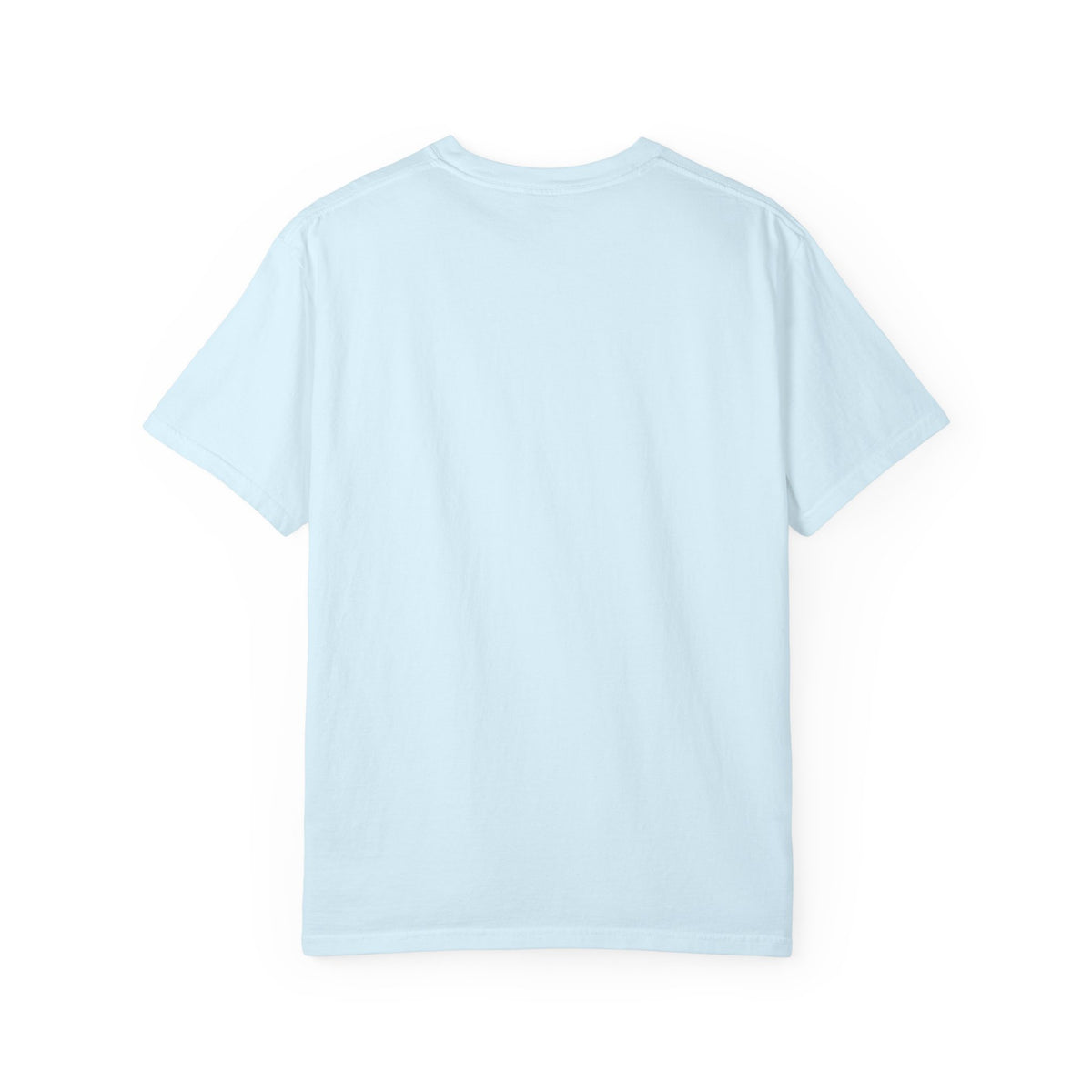 Pharaohs Pride USA Garment-Dyed Cotton T-Shirt product image 37