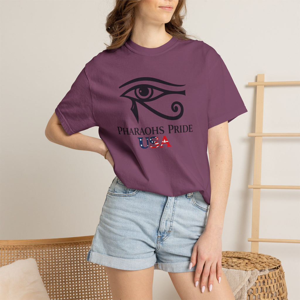 Pharaohs Pride USA Garment-Dyed Cotton T-Shirt product image 60