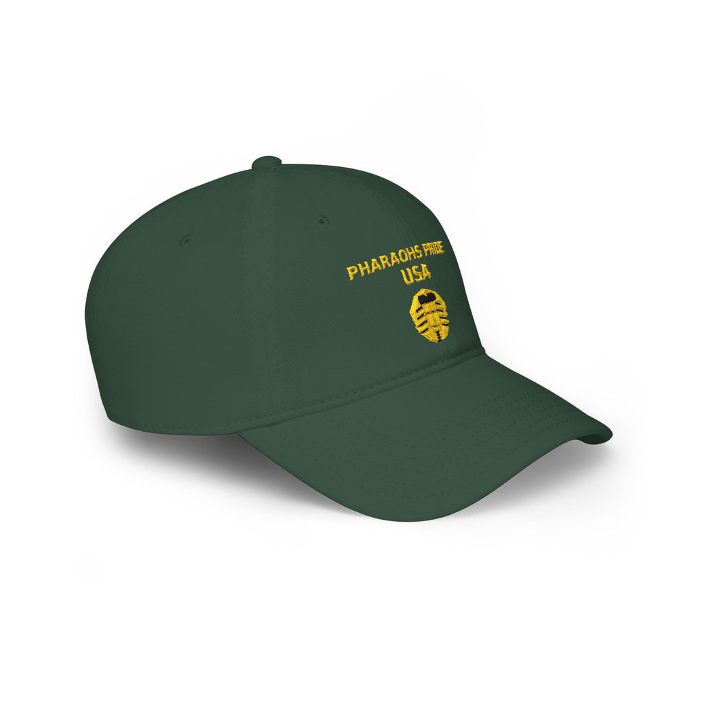 Pharaohs Pride USA Embroidered Low Profile Baseball Cap product image 23