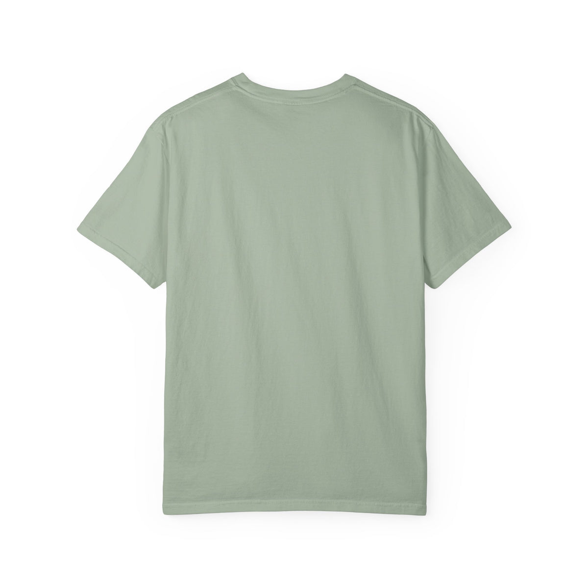 Pharaohs Pride USA Garment-Dyed Cotton T-Shirt product image 28